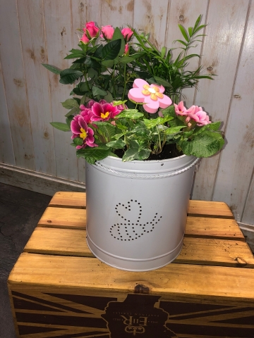 Planted Bee Pot
