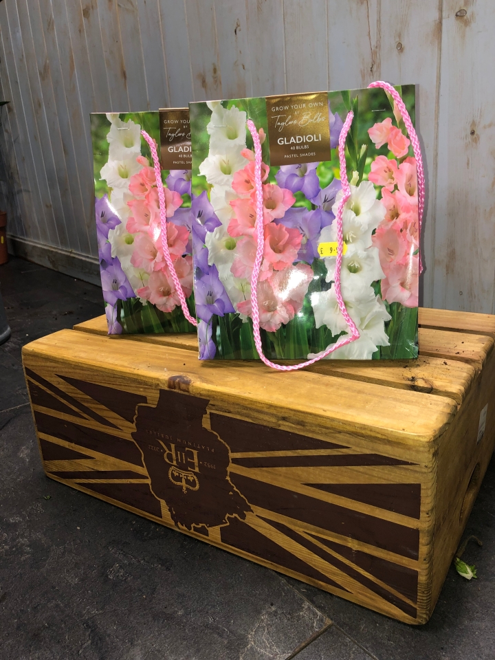 Grow Your Own Gladioli Gift Bag